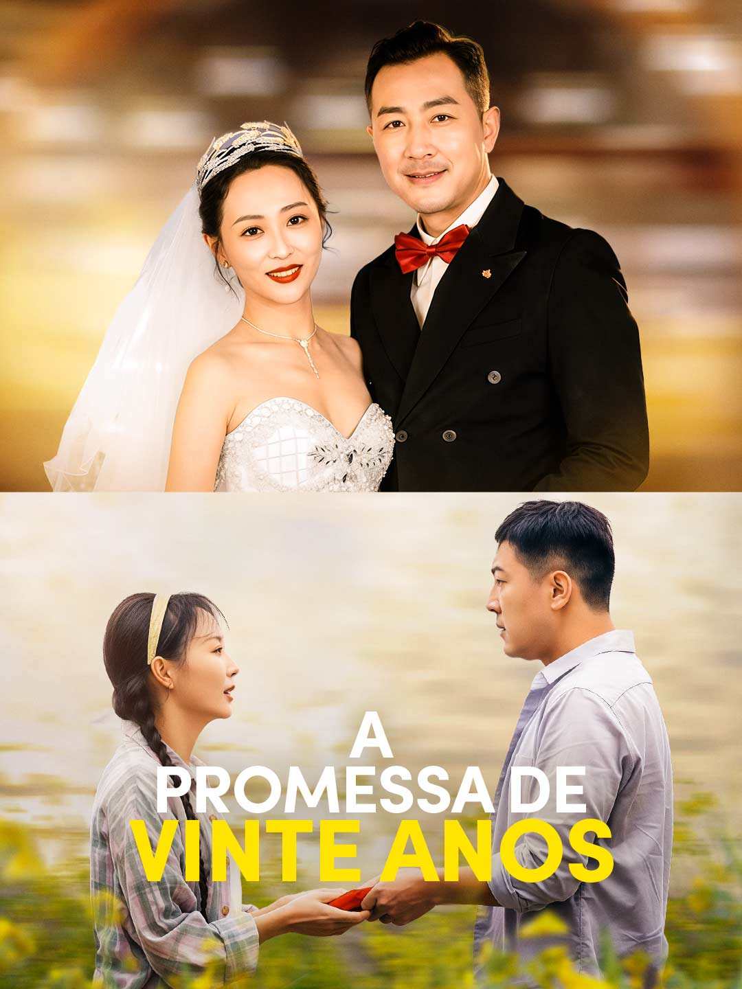 A PROMESSA DE VINTE ANOS